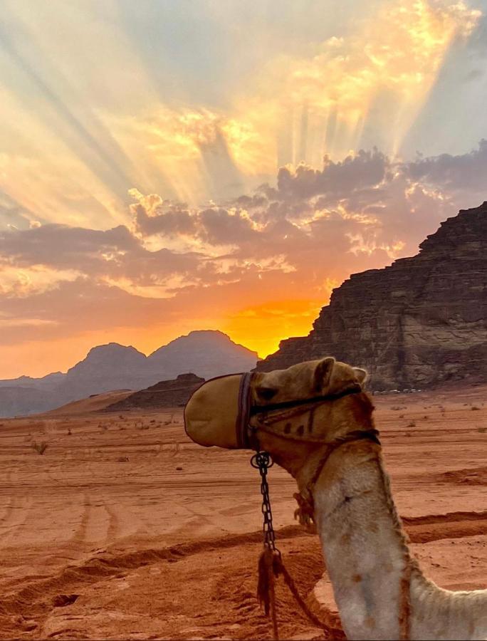 Rum Arjaan Luxury Camp Wadi Rum Exterior foto